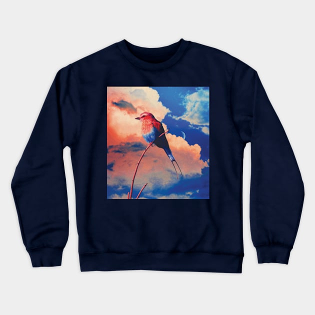 Colorful Bird sky moon Crewneck Sweatshirt by Frajtgorski